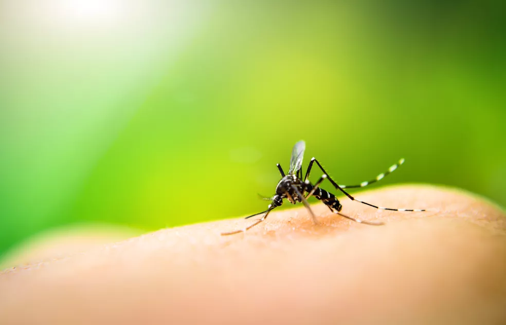 Morte por dengue de criança de 4 anos é confirmada na região 