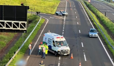 Motociclista morre após cair da moto ao tentar desviar de animais na rodovia na região 