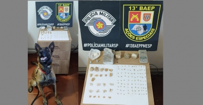 Polícia Militar apreende drogas em operação com cães farejadores em Ourinhos