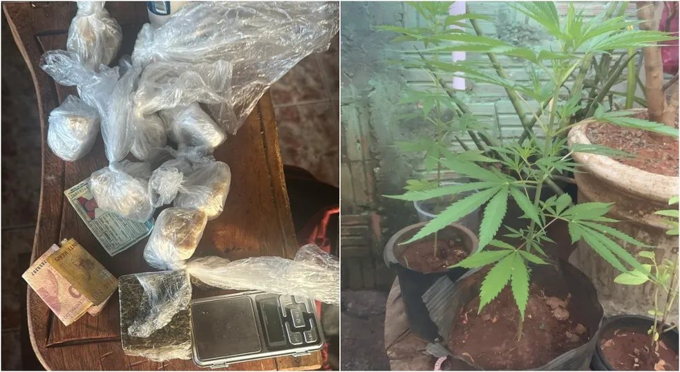 Operação contra tráfico de drogas prende cinco pessoas na região  