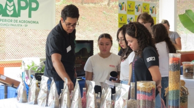 Escola Sesi de Assis promove enriquecedora Feira de Profissões para alunos da rede e escolas públicas
