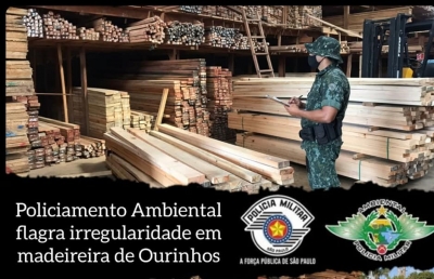 Madeireira autuada emite nota e nega irregularidade em Ourinhos