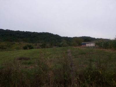 MPF investiga ocupação irregular de lotes e crimes contra famílias em assentamento na região