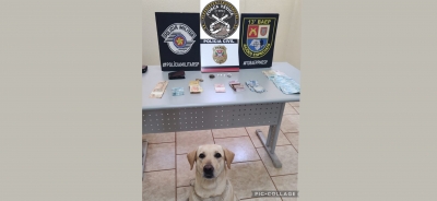 Operação conjunta apreende mais de R$7 mil com suspeitos de tráfico de drogas em Salto Grande