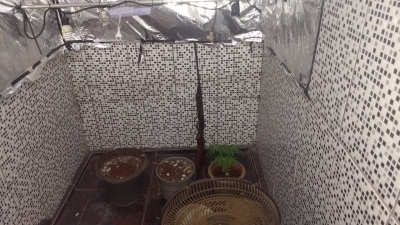 Homem é preso acusado de tráfico e polícia encontra até pé de maconha em casa na Cohab de Ourinhos 