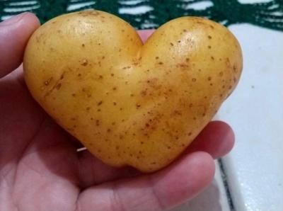 Casal encontra batata em formato de coração na região 