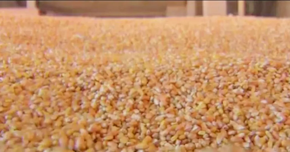 Tragédia no Paraná: Criança de 6 anos morre após ser soterrada por carga de milho