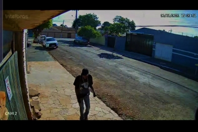 Câmeras de segurança flagram ‘ladrão de galinha’ em Ourinhos 