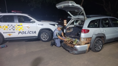Casal é flagrado com mais de 44 quilos de cocaína em pedágio na Raposo Tavares 