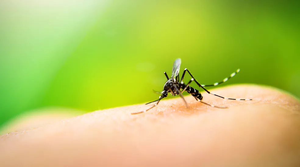 Cidade da região confirma primeiro caso importado de chikungunya em 2023