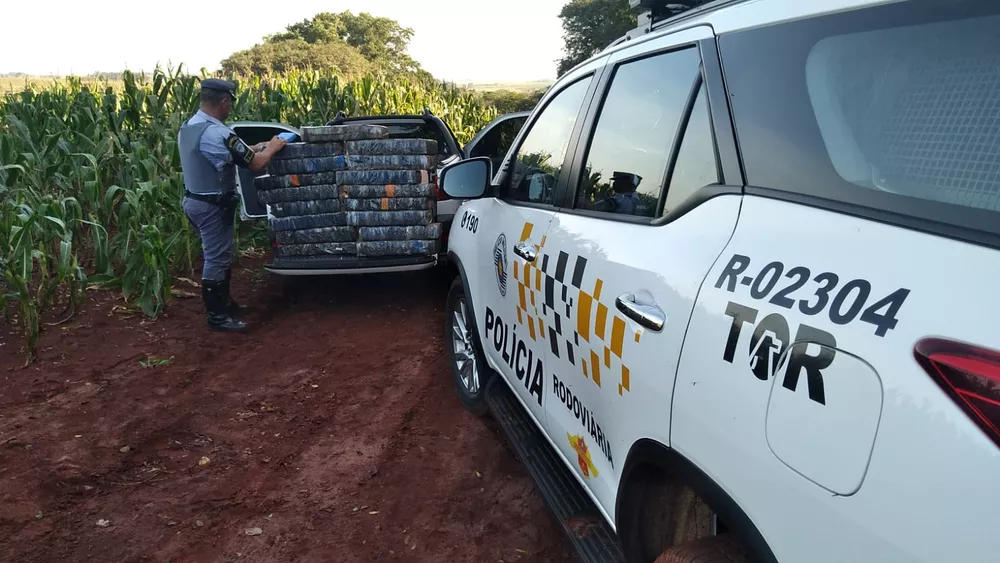 Homem é preso com mais de 300 tabletes de maconha em rodovia na região 