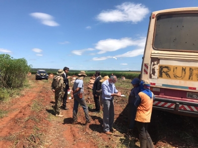 Trabalhadores achados em condições análogas à escravidão em Campos Novos Paulista serão indenizados