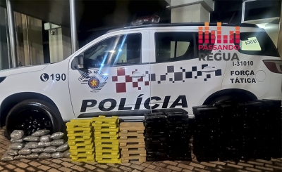 Força Tática da Polícia Militar de Ourinhos faz grande apreensão de maconha e prende traficante em Chavantes