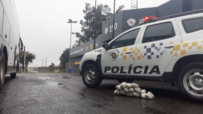 Mulher é presa com carregamento de skunk em rodovia da região 