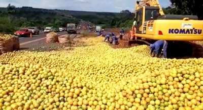 Carreta tomba, espalha laranja na pista e interdita parcialmente rodovia na região