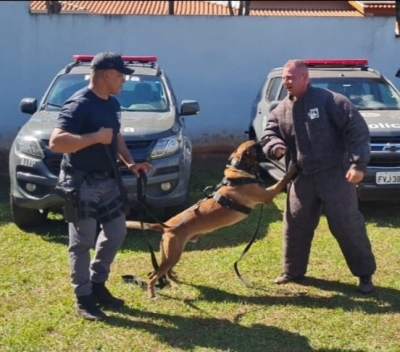 Polícia Militar realiza Seminário de Cães Policiais em Santa Cruz do Rio Pardo