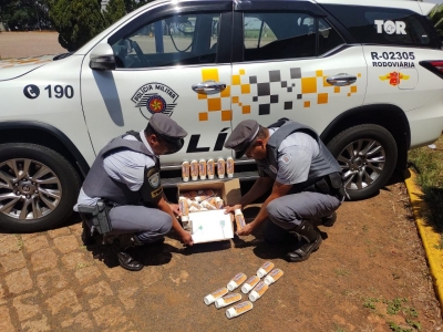 Dois são presos por tráfico de drogas em rodovia de Santa Cruz do Rio Pardo