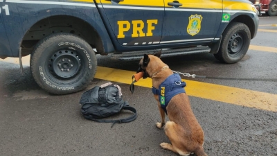 Com drogas na mochila, passageiro de ônibus é preso na BR-153 em Ourinhos