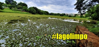 Aguapé toma conta de todo lago e Prefeitura de Ourinhos não se manifesta sobre providências 