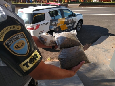 Polícia Rodoviária apreende skunk com passageiro de ônibus em Ourinhos 