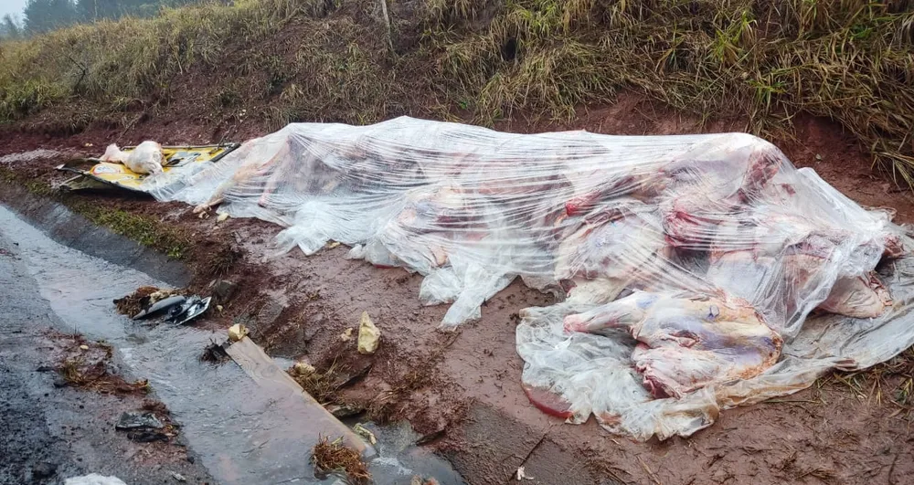 Caminhão carregado com peças de carne tomba na região 