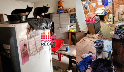 Mulher é presa por maus-tratos a animais na Vila Perino em Ourinhos