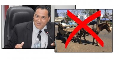 Vereadores votam projeto que proíbe carroças puxadas por aninais no perímetro urbano de Ourinhos 