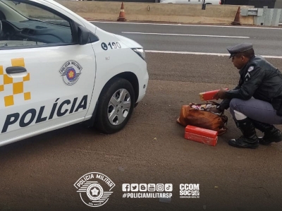 Homem é preso transportando 17 tijolos de maconha em ônibus em Ourinhos 