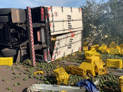 Carreta com 15 toneladas de abacates tomba na rodovia Raposo Tavares na região