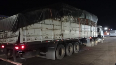 Caminhão com mais de 3 toneladas e meia de maconha é apreendido pela PRF em Cambará, no norte do Paraná