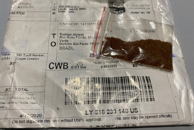 Maquiador e cabeleireiro de Ourinhos também recebeu sementes misteriosas vindas pelo correio