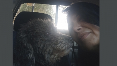 Após mais de um mês de buscas, cadela ‘Cristal’ é encontrada em Ourinhos 