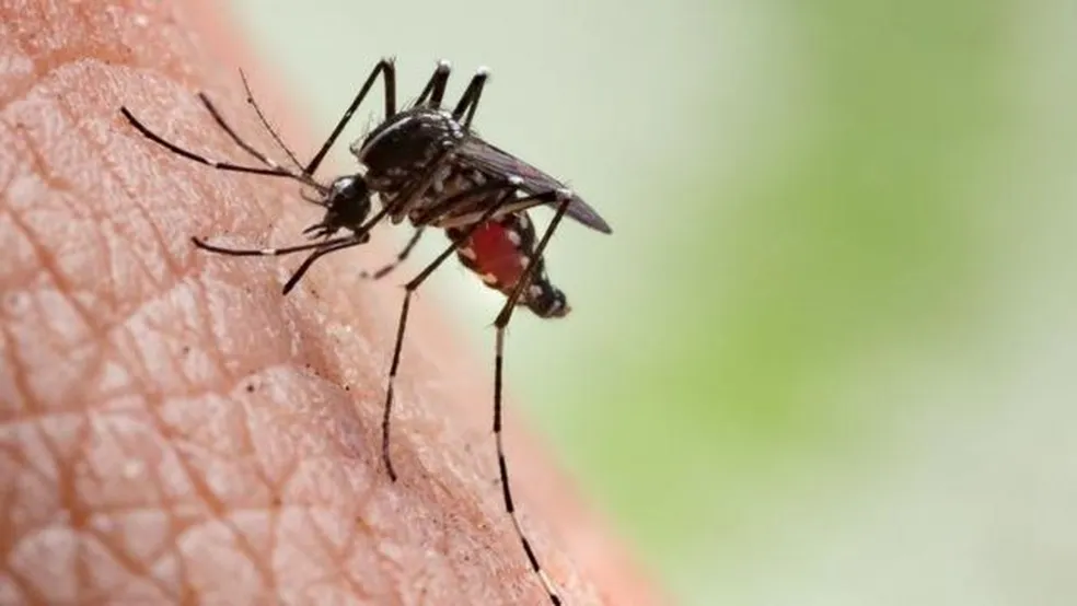 Santa Cruz do Rio Pardo confirma mais duas mortes por dengue neste ano