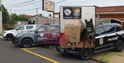 Operação conjunta resulta na prisão de homem por tráfico de drogas em Salto Grande