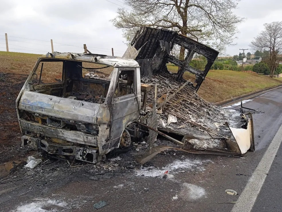 Caminhão pega fogo e 30 mil filhotes de codorna morrem carbonizados na Raposo Tavares