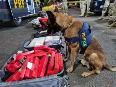 PRF realiza fiscalização em ônibus e prende sete passageiros transportando drogas em Ourinhos 