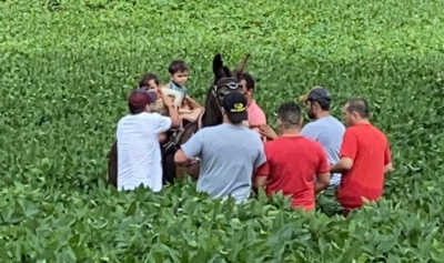 Meninos desaparecidos são encontrados são e salvos em fazenda de Joaquim Távora 