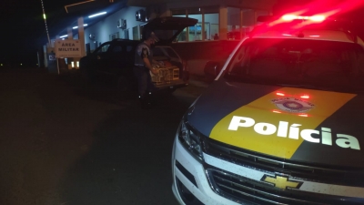 Polícia Rodoviária apreende 14 pássaro da fauna brasileira transportados ilegalmente na SP-270
