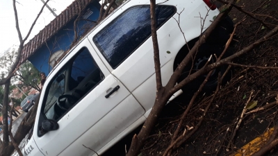 Chuva rápida com fortes rajadas de vento deixa estragos em Ourinhos; árvore caiu em carro