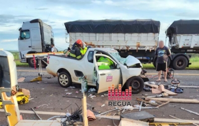 Motorista morre em batida frontal de caminhonete contra caminhão em rodovia da região 