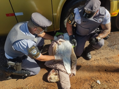 Polícia Rodoviária encontra cocaína impregnada em roupa de passageira boliviana de ônibus em Santa Cruz do Rio Pardo