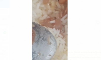 Alunos encontram larvas em arroz em escola de Ourinhos; vídeo