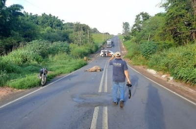 Motociclista morre após atingir cavalo solto em vicinal na região 