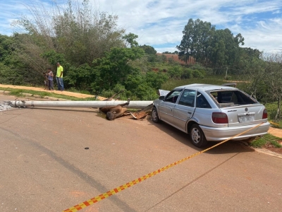 Poste cai após batida de carro e mata boi no interior de SP
