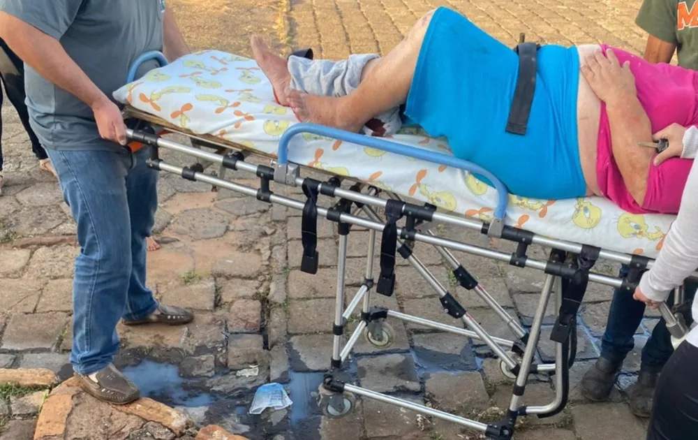 Idosa fica ferida ao ser atacada por cachorro no meio da rua na região; dona fugiu do local