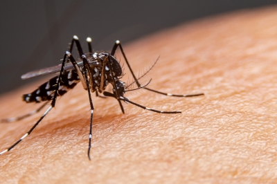 Cidade da região investiga morte de criança de 4 anos por suspeita de dengue