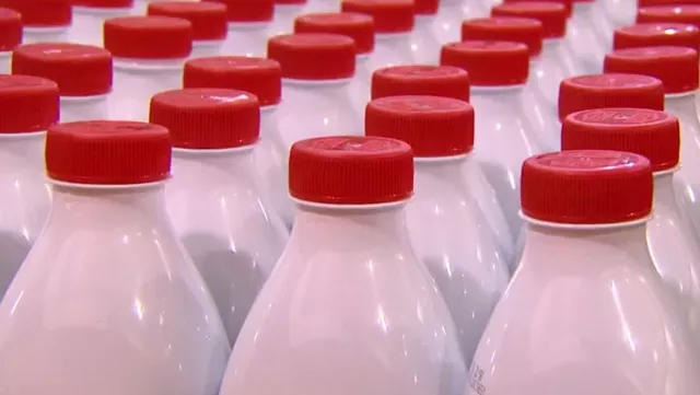 Leite é encontrado a quase R$ 8 em mercados de Ourinhos; entenda alta