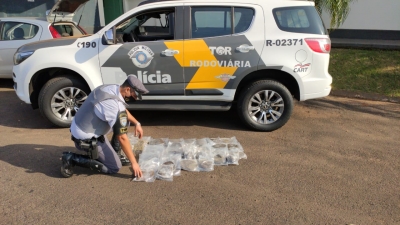 Polícia Rodoviária apreende super maconha em Ourinhos 