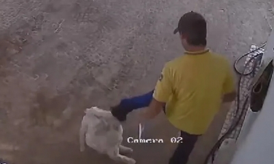 Carteiro é flagrado chutando cachorro durante entrega de encomenda na região; vídeo