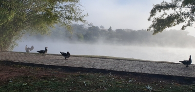 Defesa Civil alerta para baixas temperaturas no interior de SP